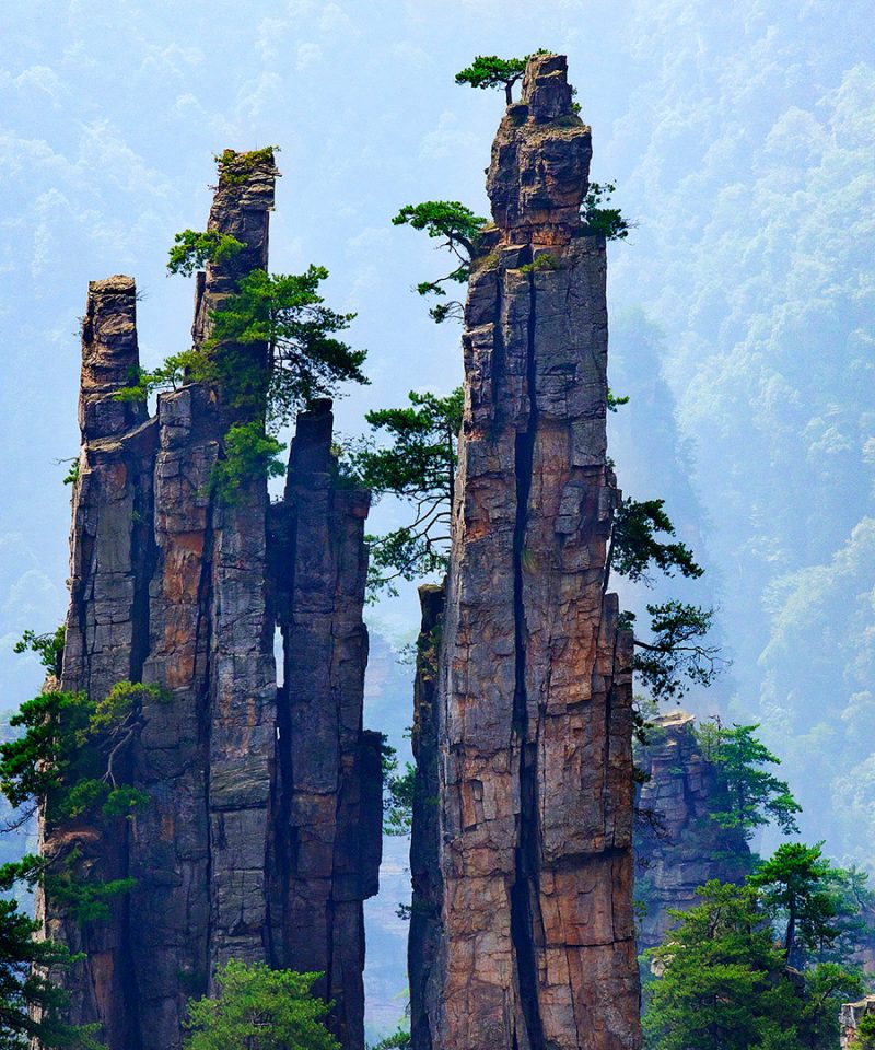 banner-china-nature-tour-beijing-zhangjiajie-shanghai