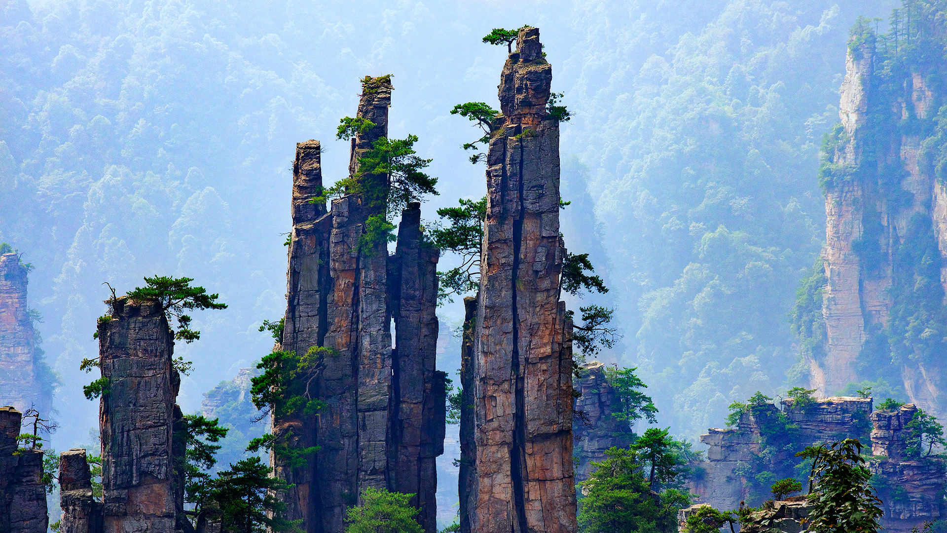 anspore Duplikering når som helst 9 Days China Nature Tour: Beijing, Zhangjiajie, Shanghai - China Top Trip