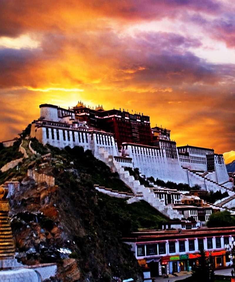 banner-china-tour-with-panda-holding-and-tibet-exploring