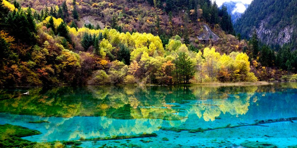 china-national-park-jiuzhaigou-national-forest-park