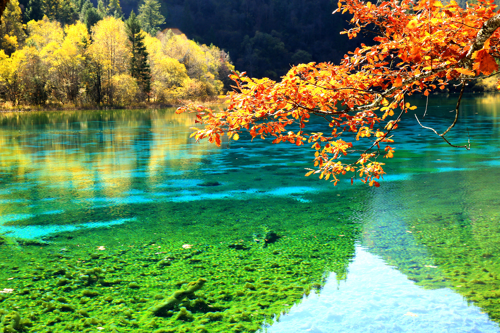 Jiuzhaigou Valley Jiuzhaigou Attractions China Top Trip