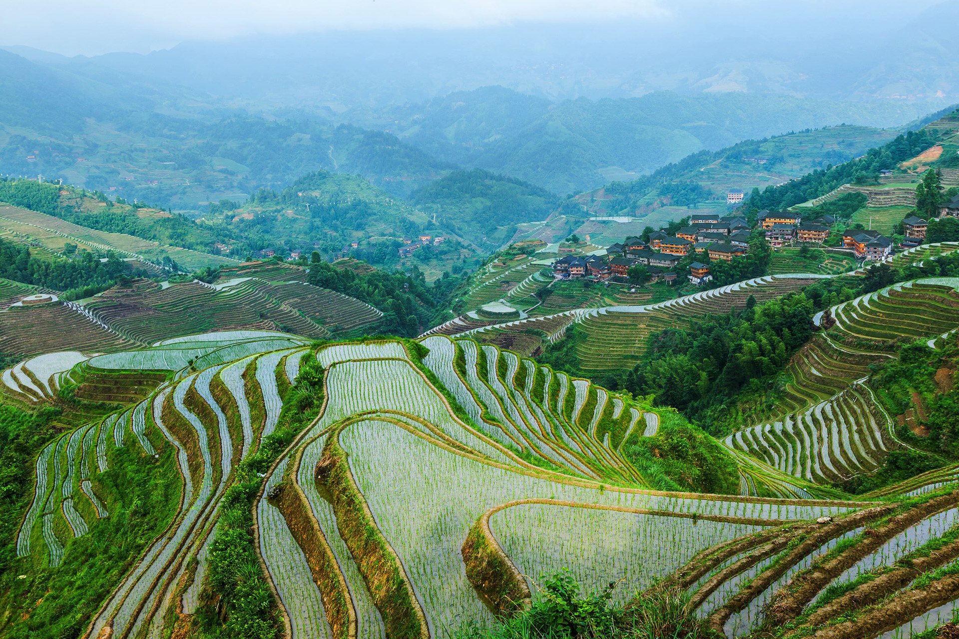 Longsheng Longji Rice Terraces Guilin Attractions China Top Trip